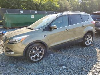  Salvage Ford Escape