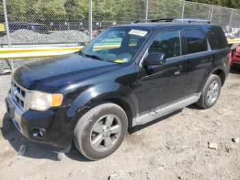  Salvage Ford Escape