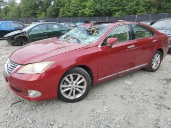  Salvage Lexus Es