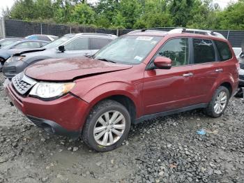  Salvage Subaru Forester