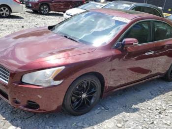  Salvage Nissan Maxima