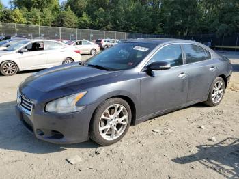  Salvage Nissan Maxima