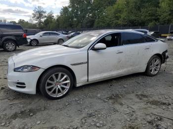  Salvage Jaguar XJ