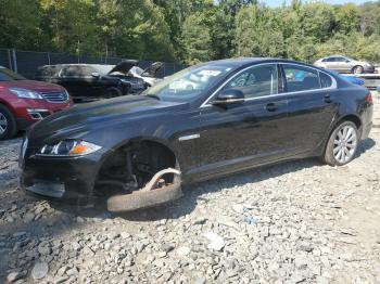  Salvage Jaguar XF