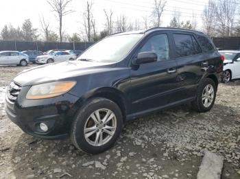  Salvage Hyundai SANTA FE