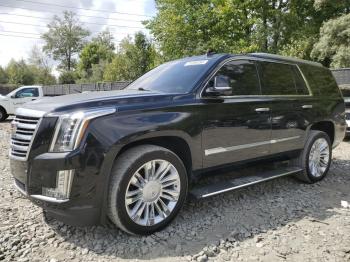  Salvage Cadillac Escalade