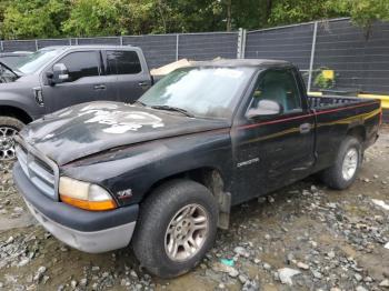  Salvage Dodge Dakota