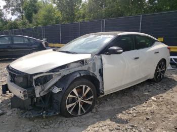  Salvage Nissan Maxima