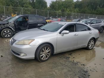  Salvage Lexus Es