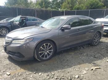  Salvage Acura TLX