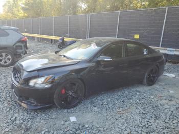  Salvage Nissan Maxima