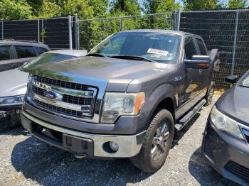  Salvage Ford F-150