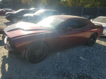  Salvage Dodge Challenger