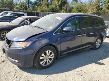  Salvage Honda Odyssey