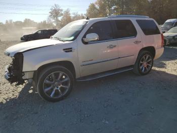  Salvage Cadillac Escalade