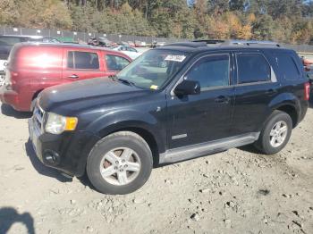  Salvage Ford Escape