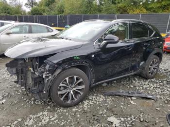  Salvage Lexus NX