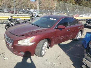  Salvage Nissan Maxima