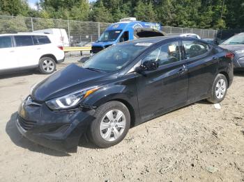  Salvage Hyundai ELANTRA