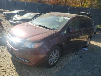  Salvage Honda Odyssey