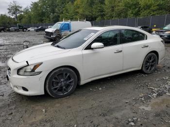  Salvage Nissan Maxima