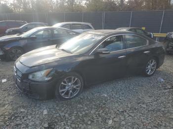  Salvage Nissan Maxima