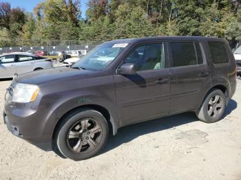  Salvage Honda Pilot