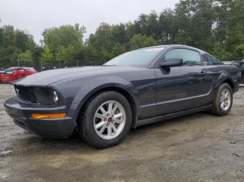  Salvage Ford Mustang