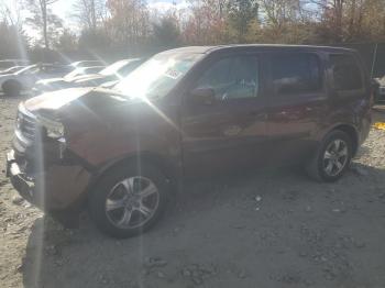  Salvage Honda Pilot