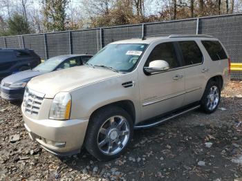  Salvage Cadillac Escalade