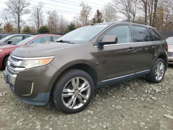  Salvage Ford Edge