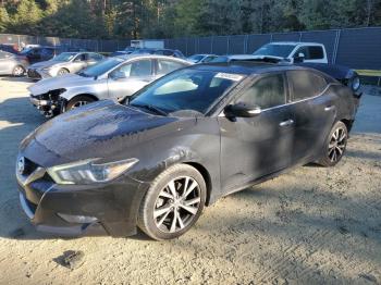  Salvage Nissan Maxima