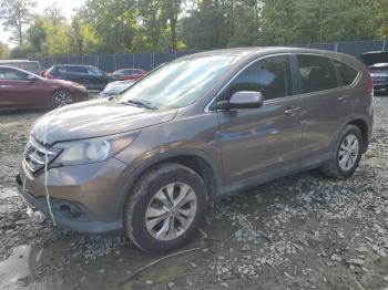  Salvage Honda Crv