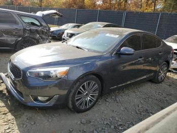  Salvage Kia Cadenza