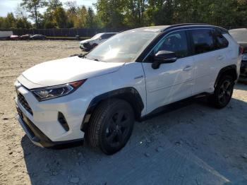  Salvage Toyota RAV4