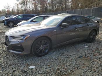  Salvage Acura TLX