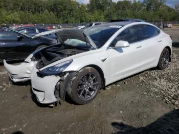  Salvage Tesla Model 3