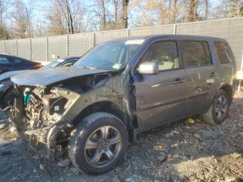  Salvage Honda Pilot