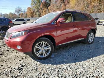  Salvage Lexus RX