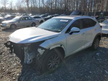  Salvage Lexus NX