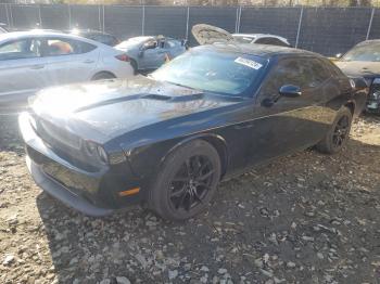  Salvage Dodge Challenger