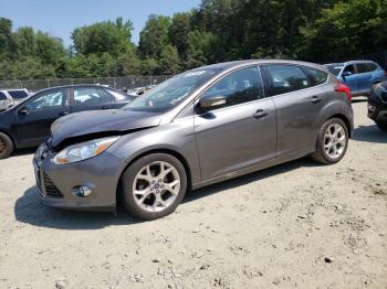  Salvage Ford Focus