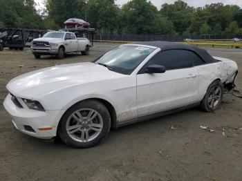  Salvage Ford Mustang