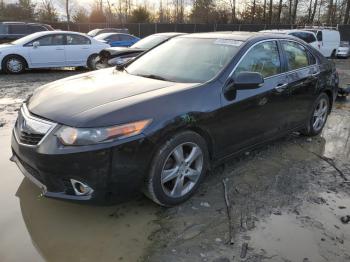  Salvage Acura TSX