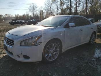  Salvage Nissan Maxima