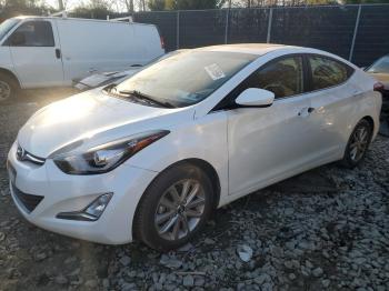  Salvage Hyundai ELANTRA