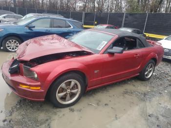  Salvage Ford Mustang