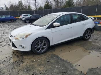  Salvage Ford Focus