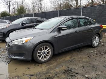  Salvage Ford Focus