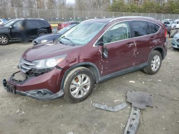  Salvage Honda Crv